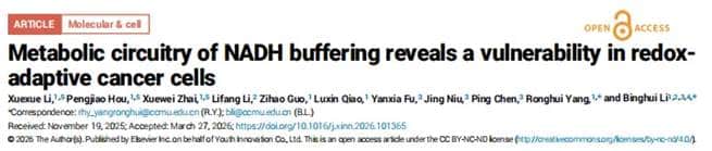 NADH Metabolism Reveals Cancer Cell Vulnerability, Combination Therapy Demonstrates Tumor-Suppressive Potential 2 image