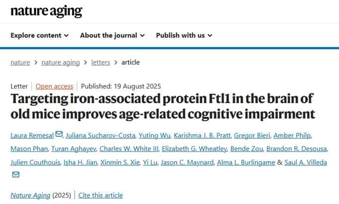 Cognitive Decline: 1 Brain Protein May Drive It, and NADH May Help 1 image 1
