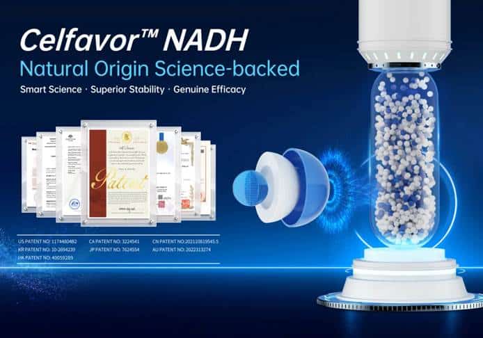 Cognitive Decline: 1 Brain Protein May Drive It, and NADH May Help 4 image 3