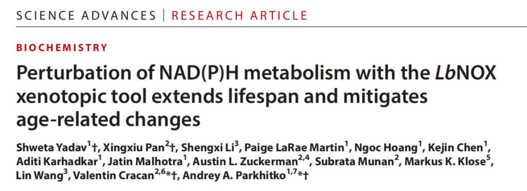 Redox Balance, Not a Bigger NAD+ Pool: What a Fly Study Found 1 image